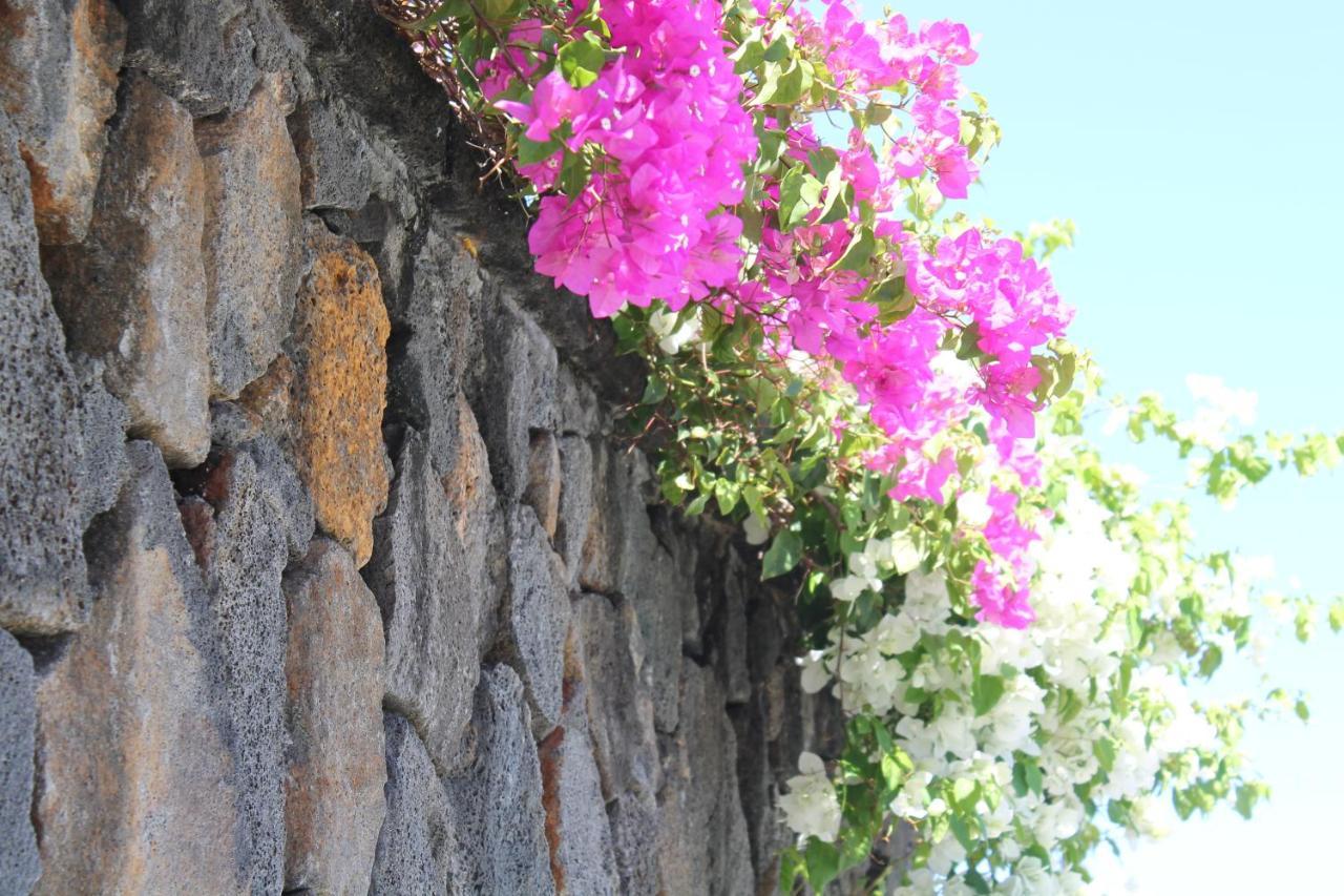 Auberge Miko Grand-Baie Dış mekan fotoğraf